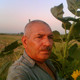 shamil, 66