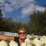Elena, 65
