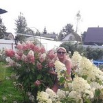 Elena, 66