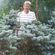 Modris, 70