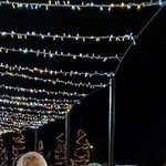 ludmila, 70