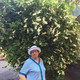 ���������, 78
