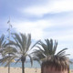 sandris, 37
