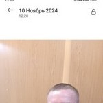 ������, 52 (1 ����, 0 �����)