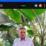 Volodya, 65 (1 ����, 0 �����)